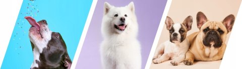 2Dog Mini Kiełbaski WOŁOWINA 1 Kg