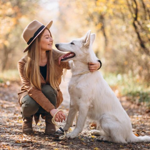 2Dog mokra karma wołowina z rosołem 800g