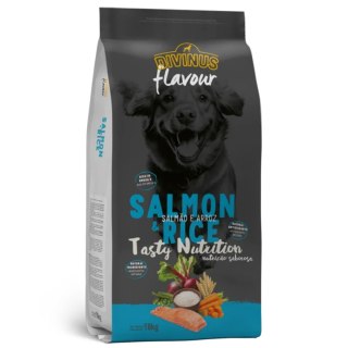 Divinus FLAVOUR DOG - łosoś z ryżem 18 kg