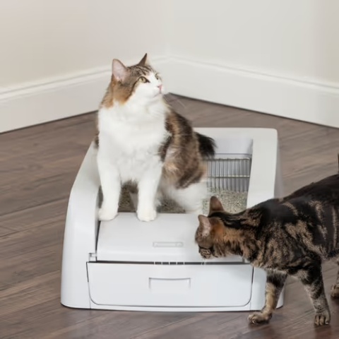 PetSafe Scoop Free Self-Cleaning Litter Box - kuweta samoczyszcząca dla kota, z czujnikiem ruchu