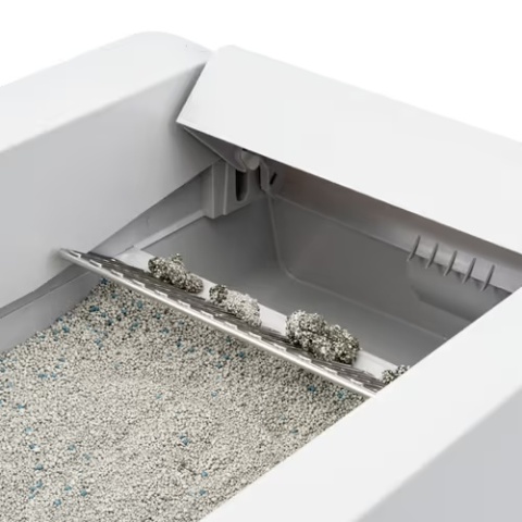 PetSafe Scoop Free Self-Cleaning Litter Box - kuweta samoczyszcząca dla kota, z czujnikiem ruchu